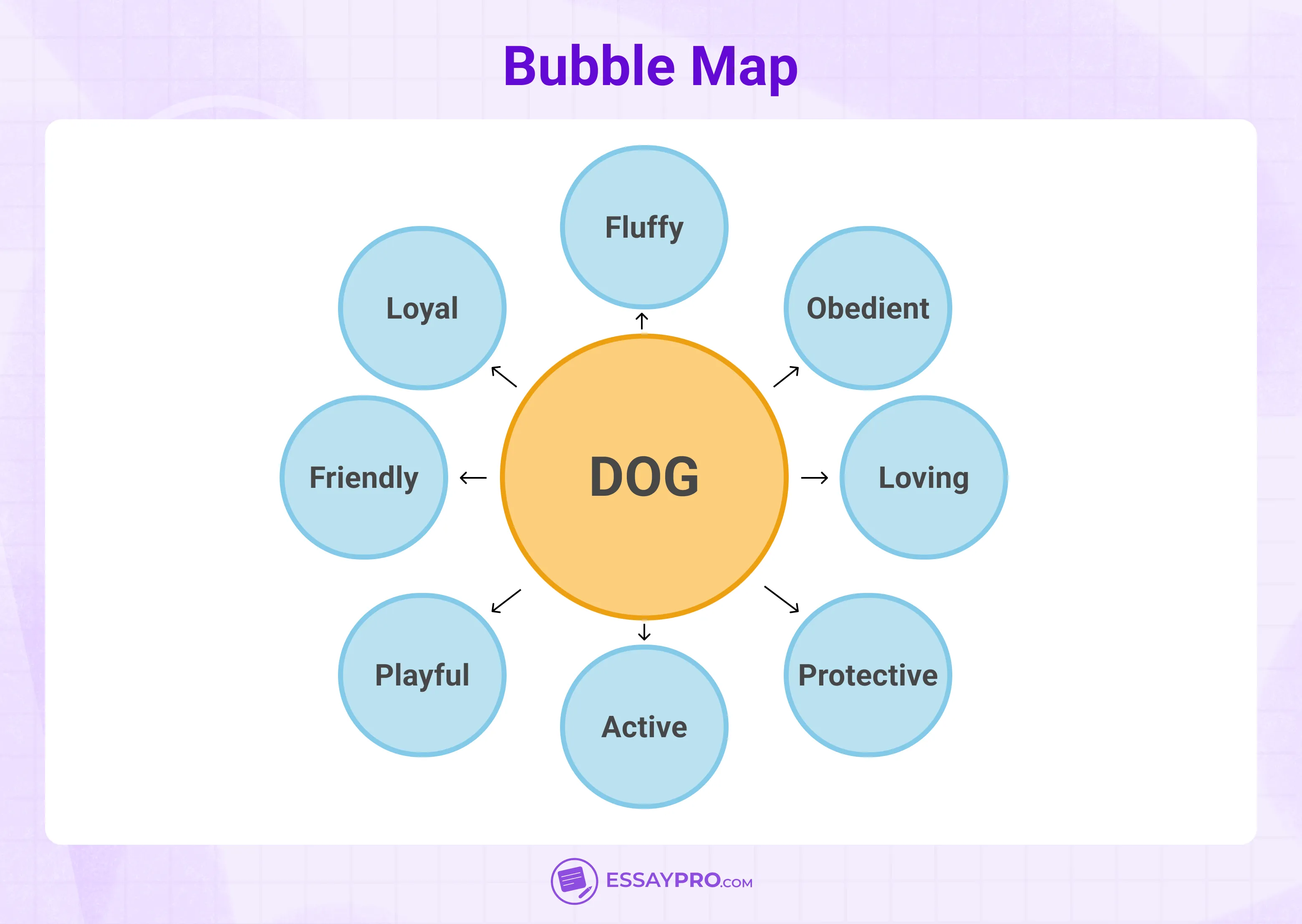 Bubble Map